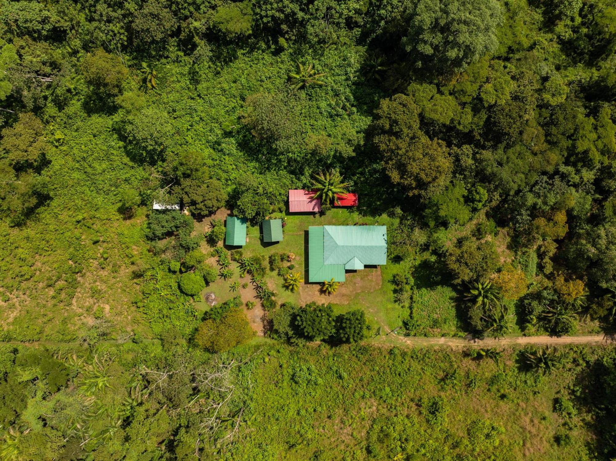 Quirquincho House Lodge Puerto Maldonado Zewnętrze zdjęcie